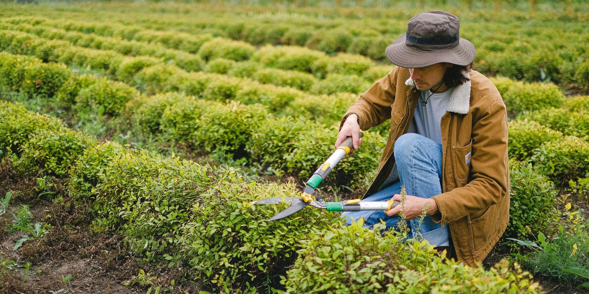 LeafLine Gardening and Landscaping