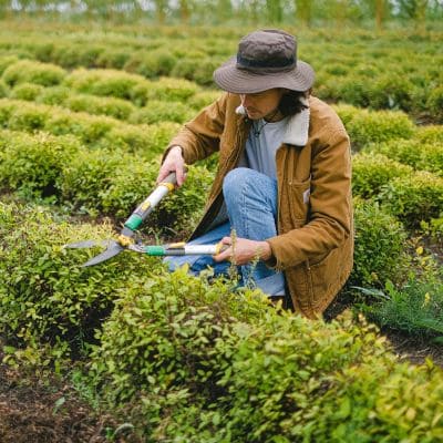 Assessment & Certification